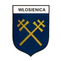 Zebranie wiejskie we Włosienicy